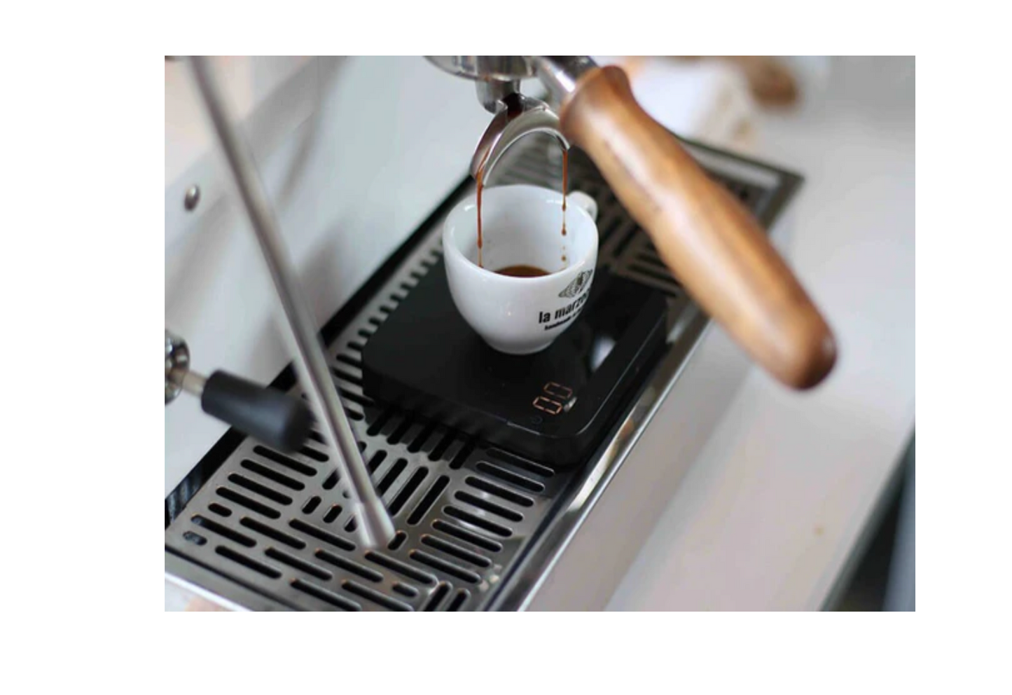 Acaia Lunar Scale