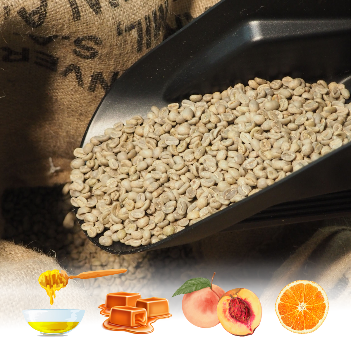 Ethiopia Guji Roba Boda