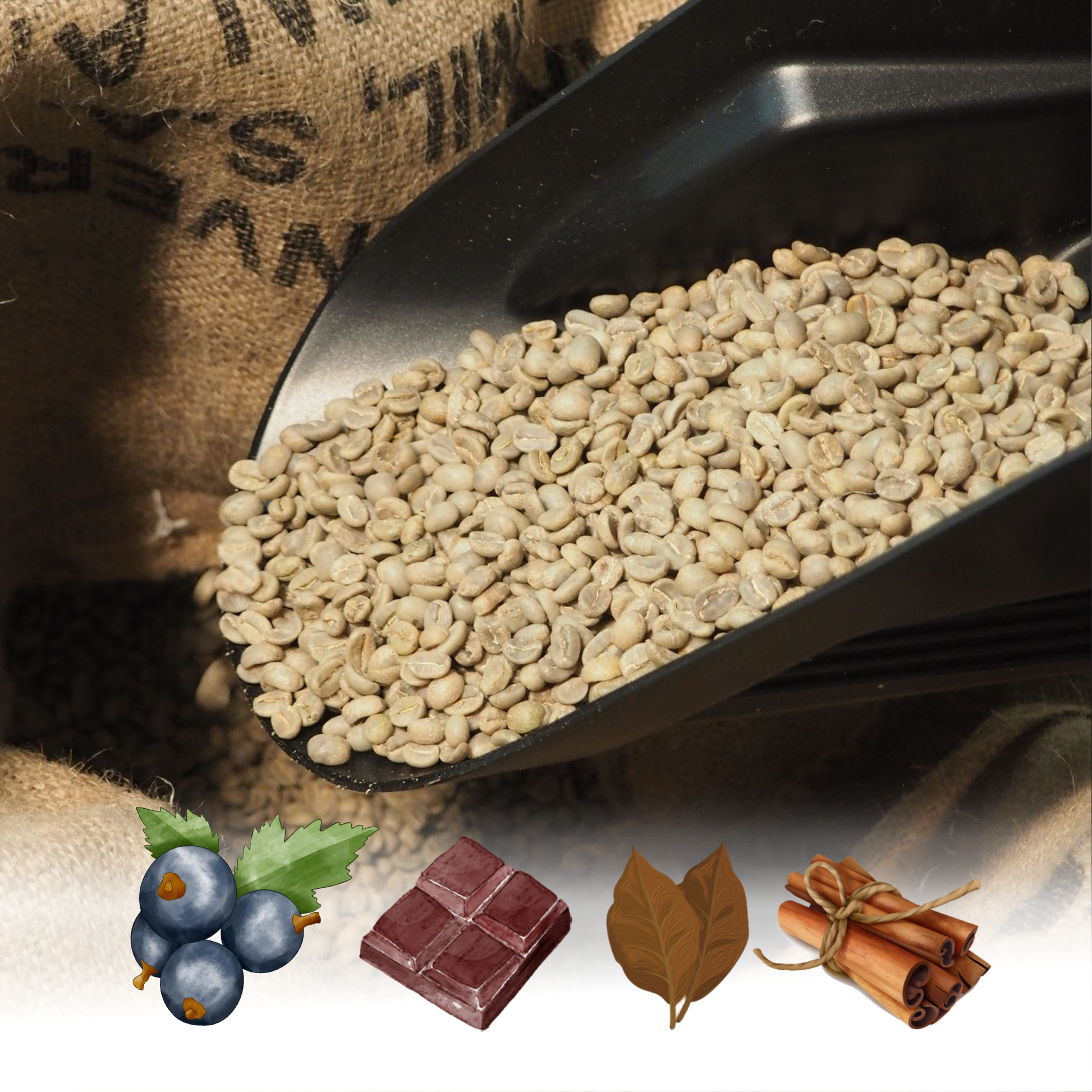 Uganda FAQ Robusta